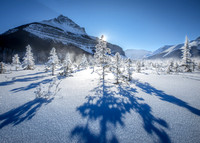 Banff and Jasper in Winter