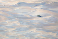 Mesquite Dunes 4