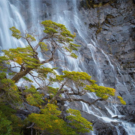 Bonsai Waterfall
